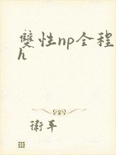 双性np全程高h封面