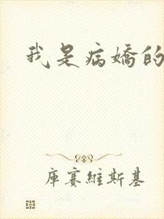 我是病娇的老婆封面