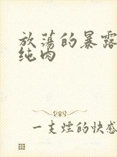 放荡的暴露高h纯肉封面