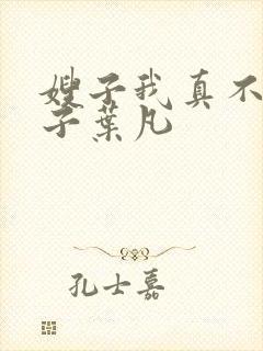 嫂子我真不是傻子叶凡封面