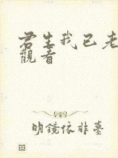 君生我已老全集观看