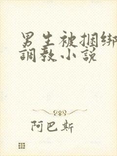 男生被捆绑束缚调教小说