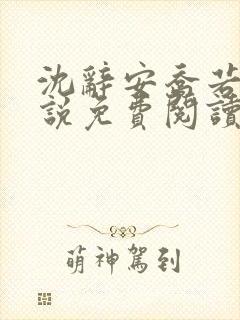 沈辞安乔若兮小说免费阅读最新章节封面