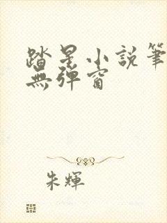 踏星小说笔趣阁无弹窗