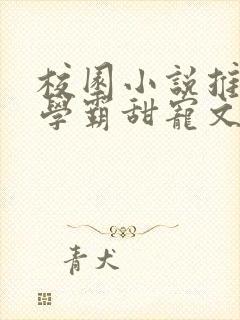 校园小说推荐双学霸甜宠文