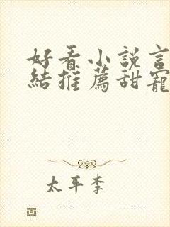 好看小说言情完结推荐甜宠文