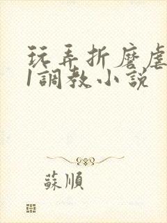 玩弄折磨虐女91调教小说