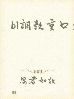 bl调教重口文封面
