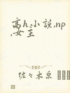 高h小说,np,女主