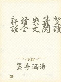 许靖央萧贺夜小说全文阅读最新章节封面