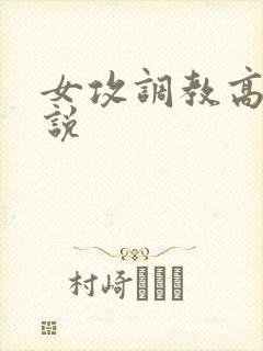 女攻调教高h小说