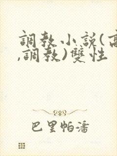 调教小说(高h,调教)双性