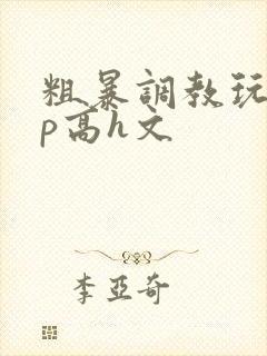 粗暴调教玩弄np高h文