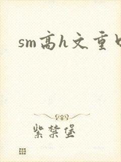 sm高h文重口
