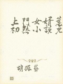 上门女婿叶辰萧初然小说免费读封面