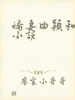 娇妻曲颖和黑人小说封面