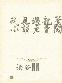 我见过龙笔趣阁小说免费阅读