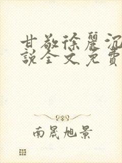 甘敬徐丽沉沦小说全文免费阅读