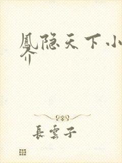 凤隐天下小说简介