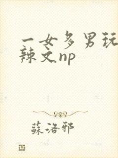 一女多男玩弄h辣文np