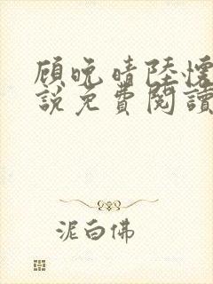 顾晚晴陆怀铮小说免费阅读最新章节封面