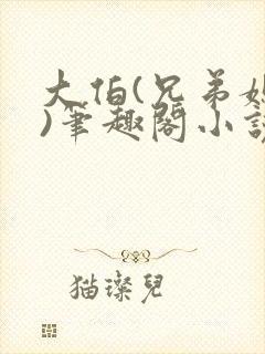 大伯(兄弟媳妇)笔趣阁小说封面