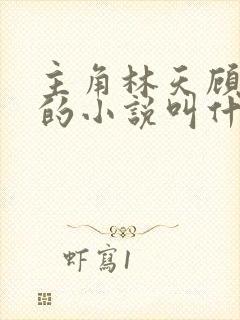 主角林天顾悦瑶的小说叫什么