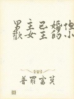 男主已婚但很喜欢女主的小说封面