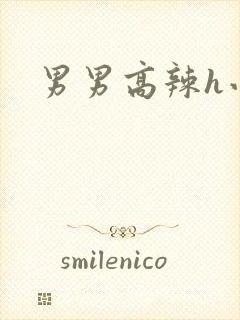 男男高辣h小说封面