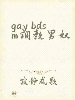 gay bdsm调教男奴