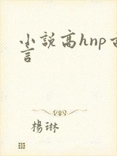 小说高hnp古言封面