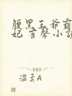 腹黑王爷霸道王妃 有声小说小说