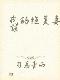 我的绝美妻子小说