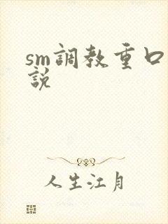 sm调教重口小说封面
