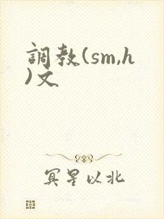 调教(sm,h)文封面