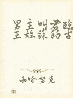 男主叫君临渊女主姓苏的古言小说