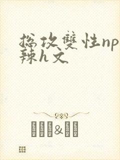 总攻双性np高辣h文