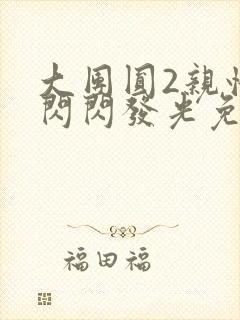 大团圆2亲情会闪闪发光免费