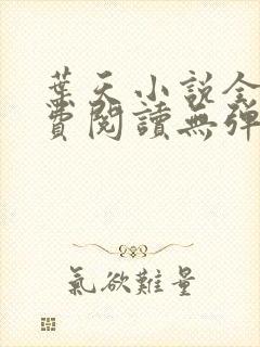 叶天小说全文免费阅读无弹窗