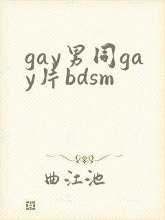 gay男同gay片bdsm封面