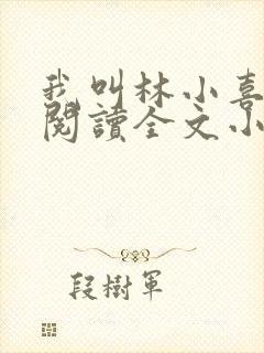 我叫林小喜免费阅读全文小说
