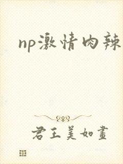 np激情肉辣文