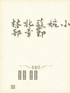 林北苏婉小说全部章节