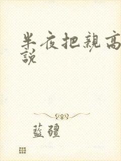 半夜把亲高潮小说