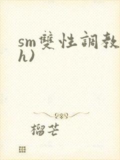 sm双性调教(h)