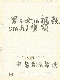 男s女m调教(sm,h)视频封面
