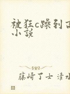 被狂c躁到高潮小说