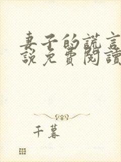 妻子的谎言 小说免费阅读