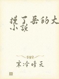 摸了岳的大乳奶小说