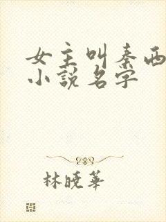 女主叫秦西流的小说名字